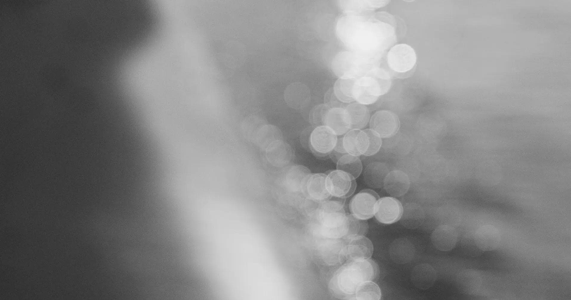 Description of the image