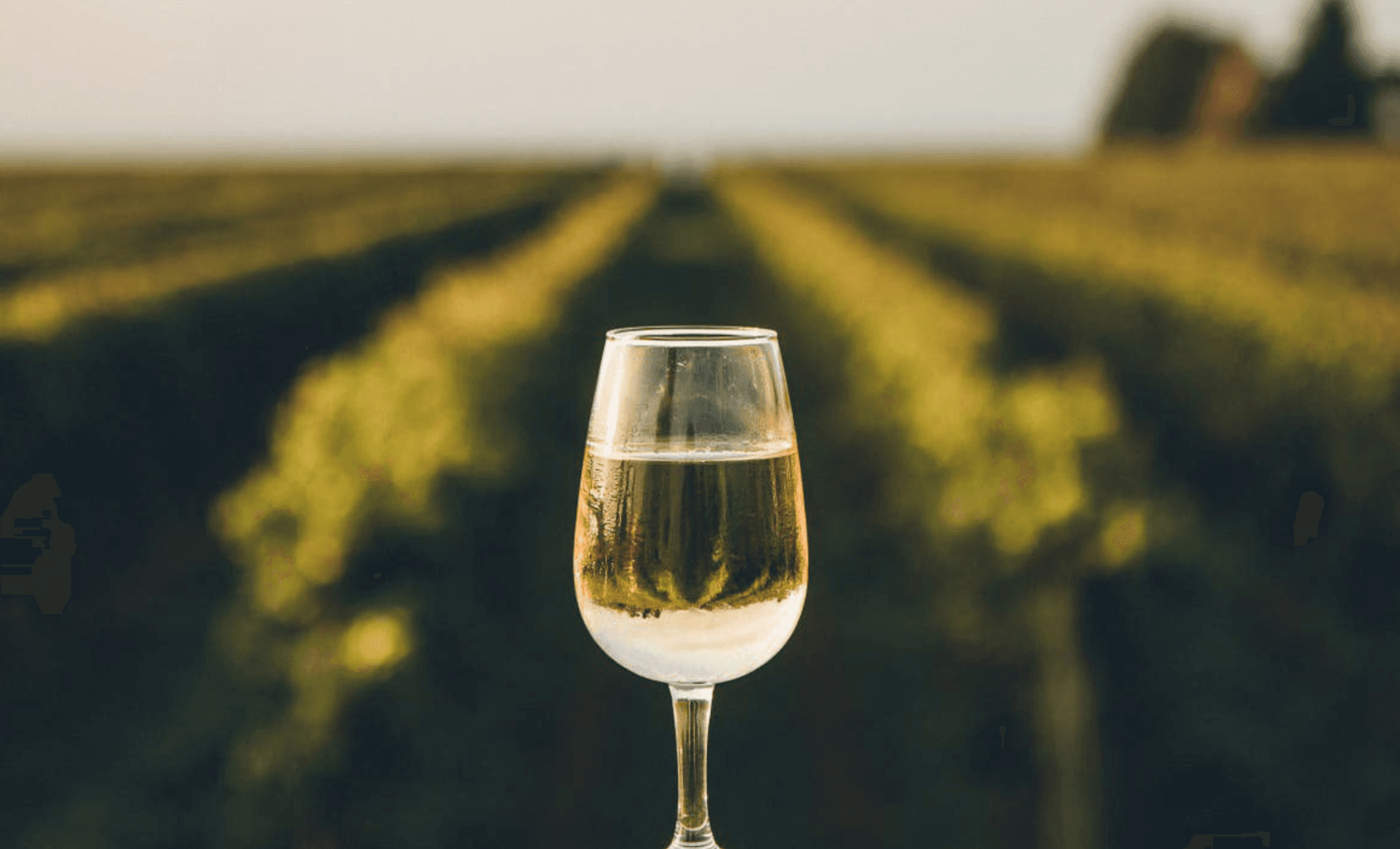 WINE DOMAINES & CHATEAUX