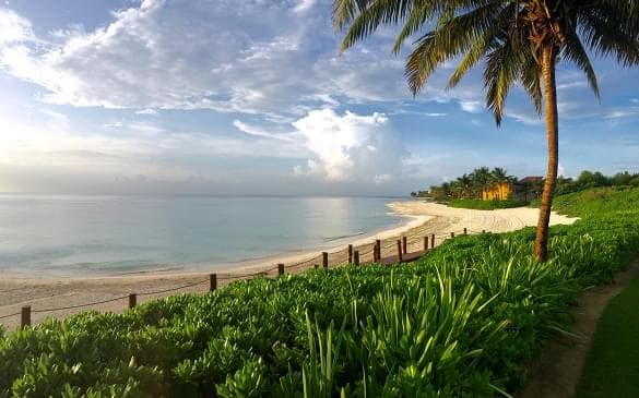 Description of the image