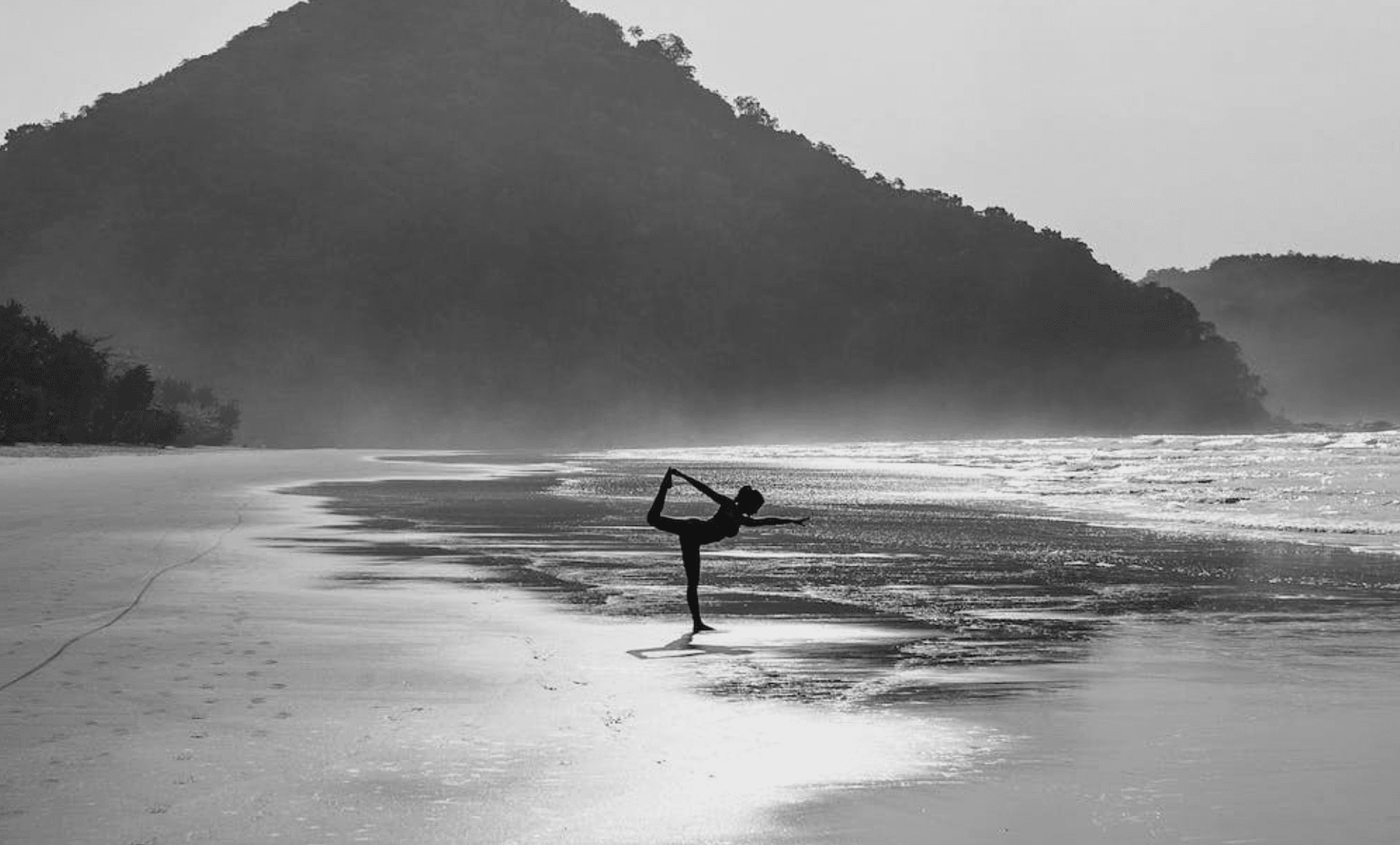 SUSTAINABLE & WELLNESS