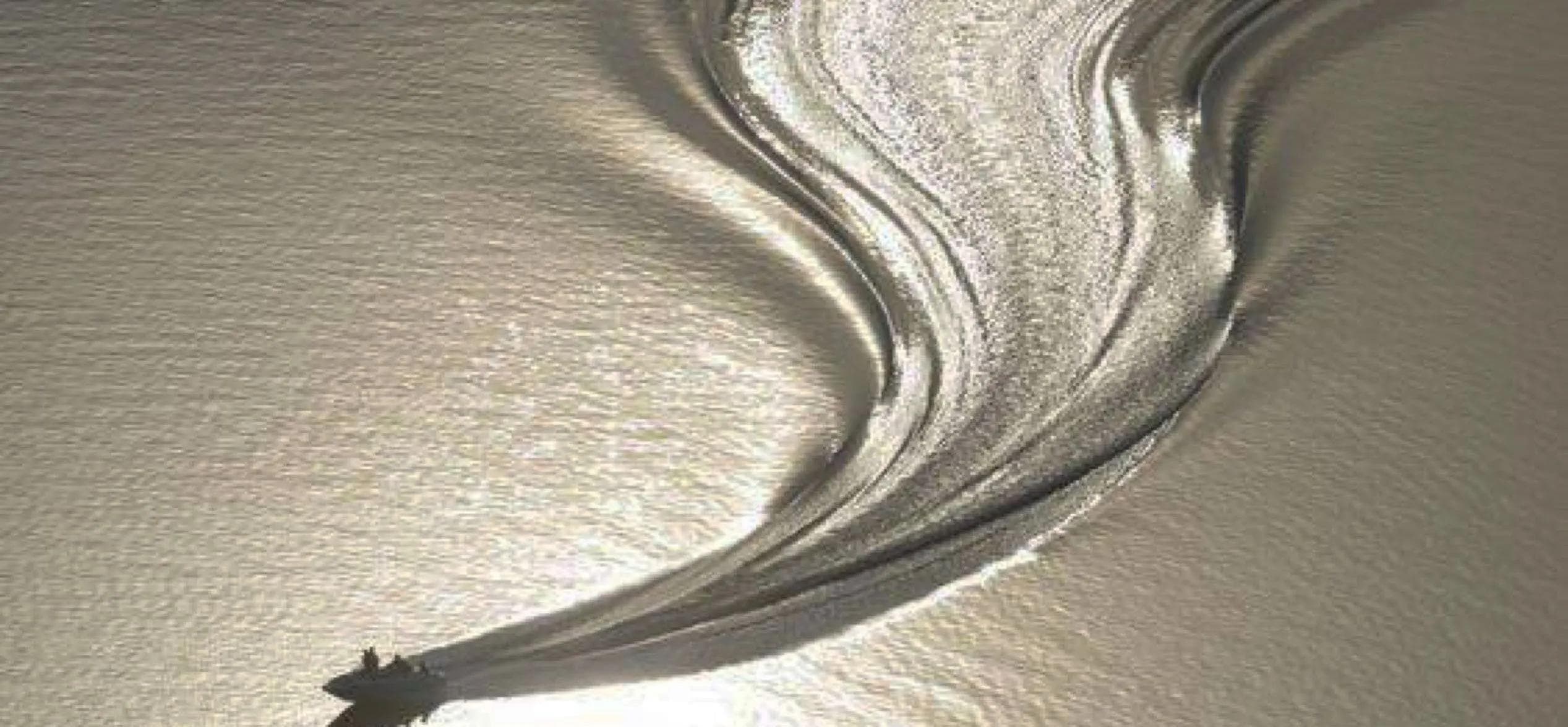 Description of the image